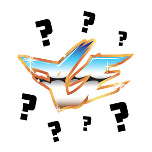 FGE MYSTERY BAG (80$ Value)